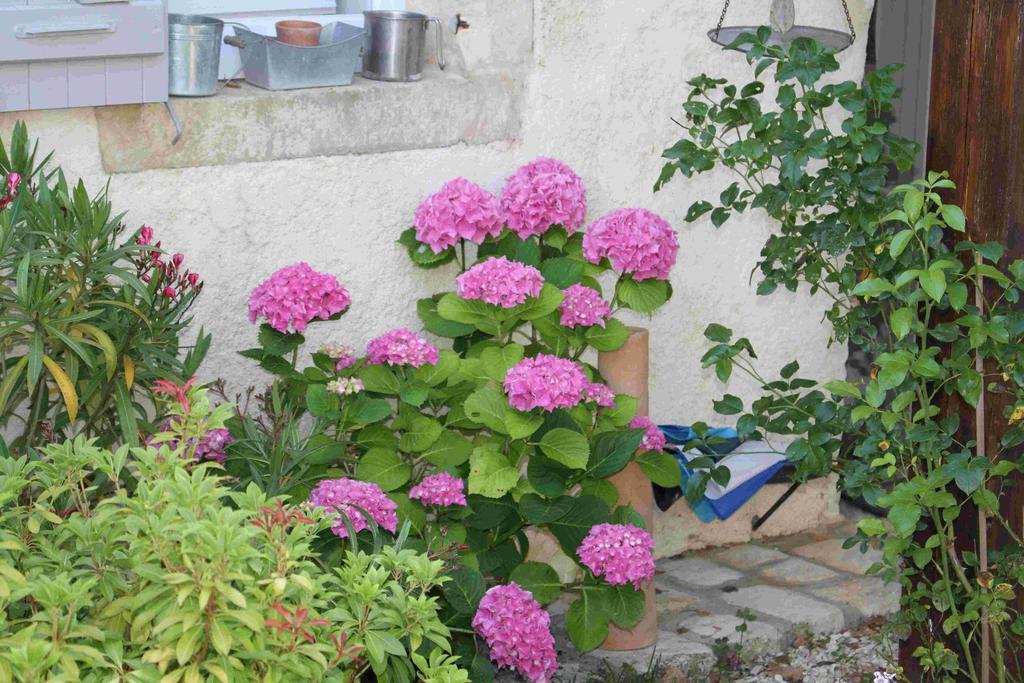 Chambres d'Hôtes Le Logis du Port Paradis Nieulle-sur-Seudre Extérieur photo